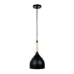 Pendul LED Player E27 negru Erste - design industrial minimalist suspendat modern