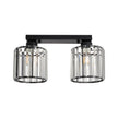Plafonieră Esra PL2 Klausen negru, metal și sticlă, 2xE27, iluminat interior clasic
