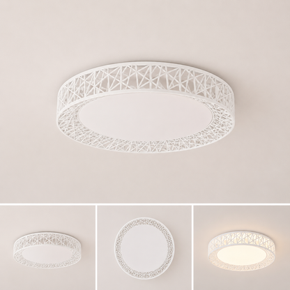 Plafoniera Adaline LED 38W 40cm 3000-6000K, Erste