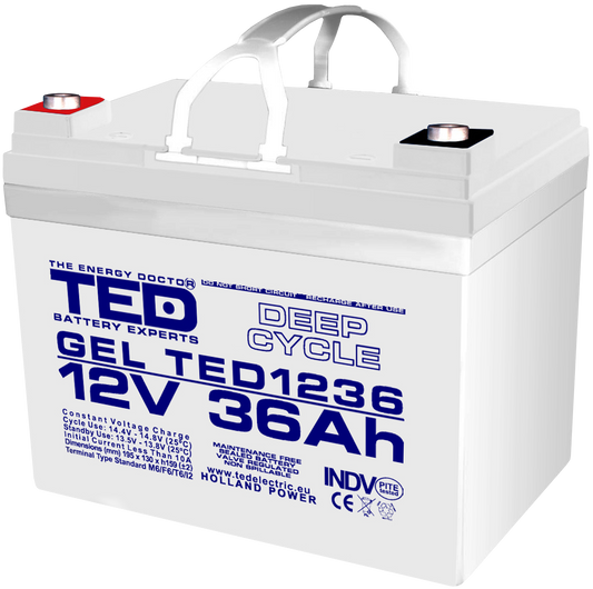 Acumulator AGM VRLA 12V 36Ah Plumb GEL Deep Cycle 195x128x155 mm M6 terminal TED Battery Expert Holland