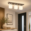 Plafoniera Andra Wenge - 60W - eVoltaSmart