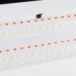 PROIECTOR LED RGB 100W IP65 - NOVELITE - eVoltaSmart
