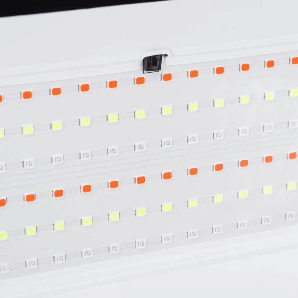 PROIECTOR LED RGB 100W IP65 - NOVELITE - eVoltaSmart