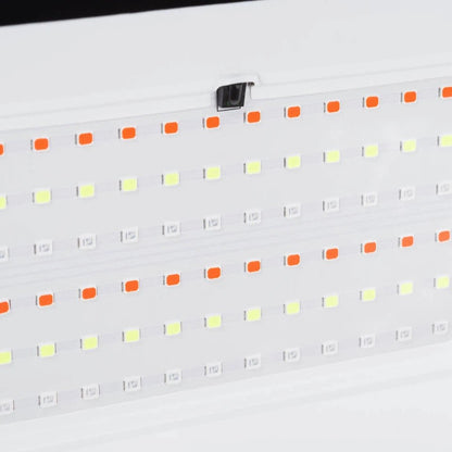 PROIECTOR LED RGB 100W IP65 - NOVELITE - eVoltaSmart
